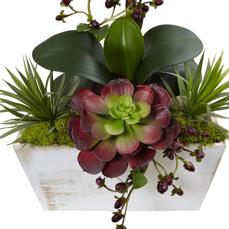 Seasonal Orchid & Succulent Garden with White Wash Planter