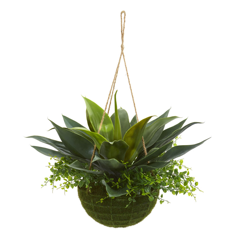 Agave and Maiden Hair Artificial Plant in Hanging Basket