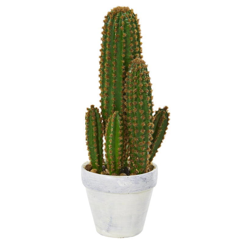 1.5' Cactus Succulent Artificial Plant