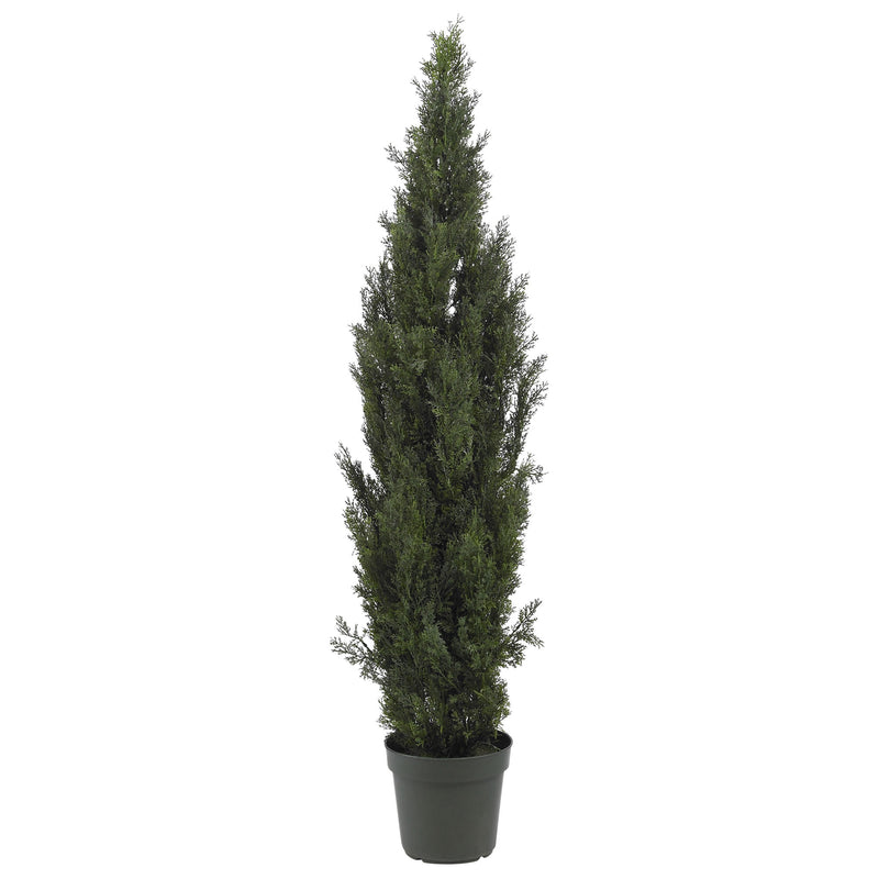 6' Mini Cedar Pine Tree