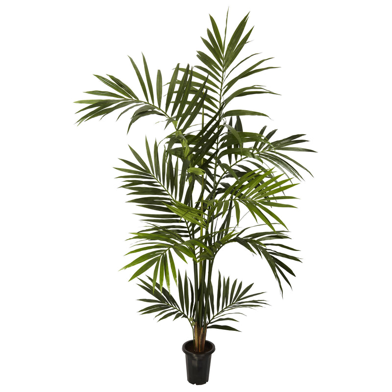 6' Kenitia Palm Silk Tree