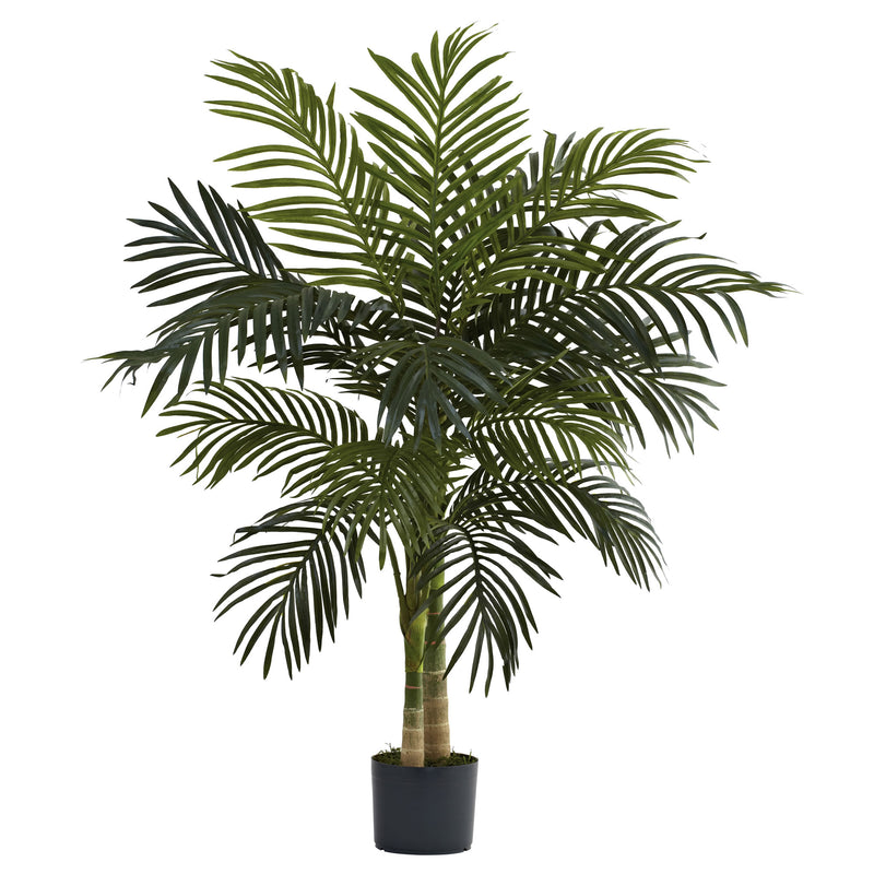4" Golden Cane Palm Tree