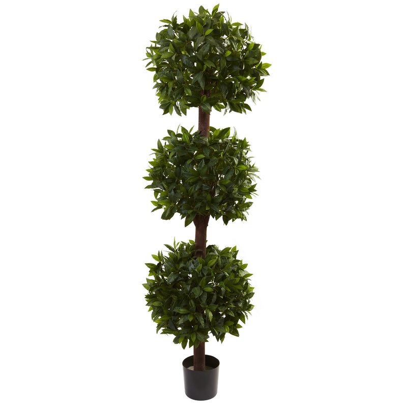 6.5" Sweet Bay Triple Ball Topiary