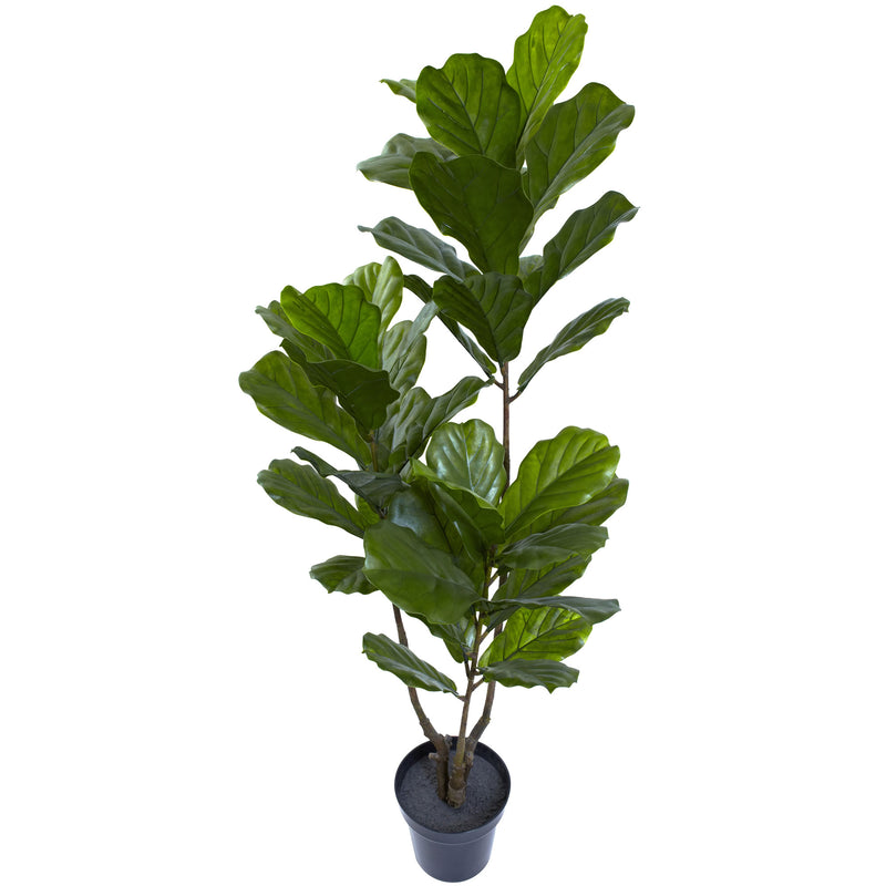 65" Fiddle Leaf Tree