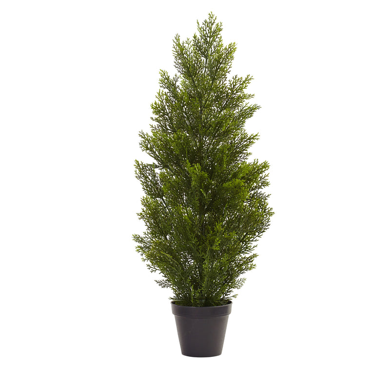 3" Mini Cedar Pine Tree (Indoor/Outdoor)