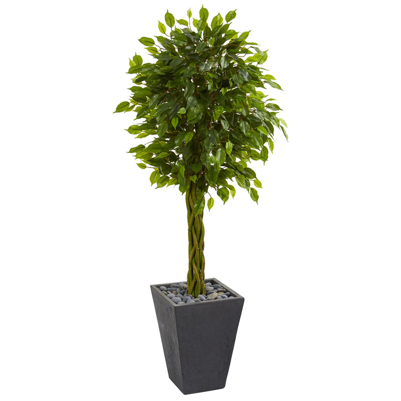 5" Braided Ficus Artificial Tree in Slate Planter