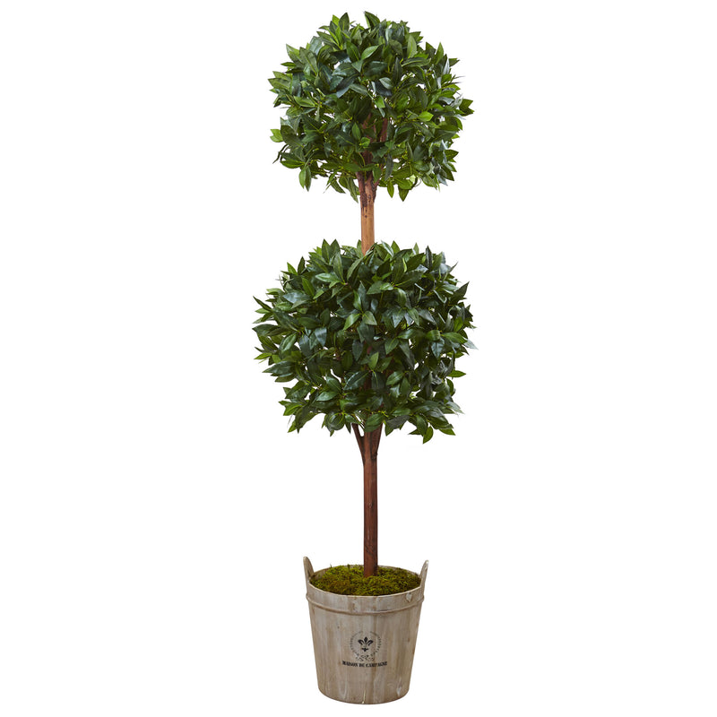 6" Double Ball Topiary Tree with European Barrel Planter