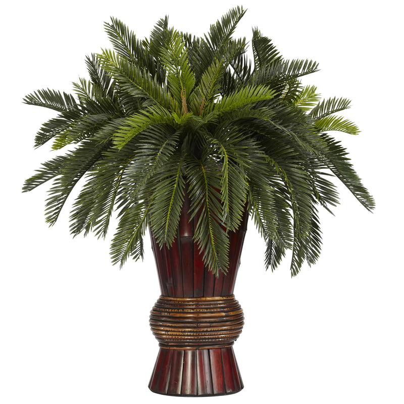 Cycas with Bamboo Vase Silk Plant
