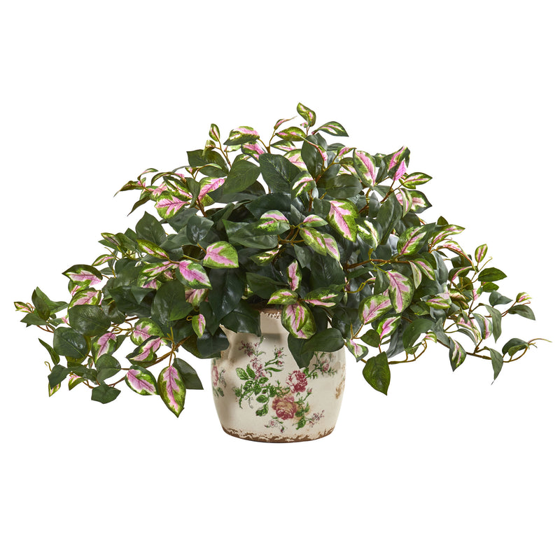 Hoya Artificial Plant in Floral Print Planter