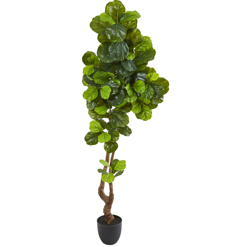 78" Fiddle Leaf Artificial Tree (Real Touch)