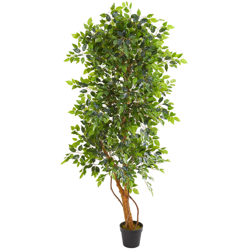 6" Elegant Ficus Artificial Tree