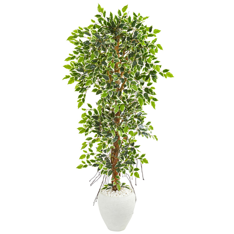 5.5" Elegant Ficus Artificial Tree in White Planter
