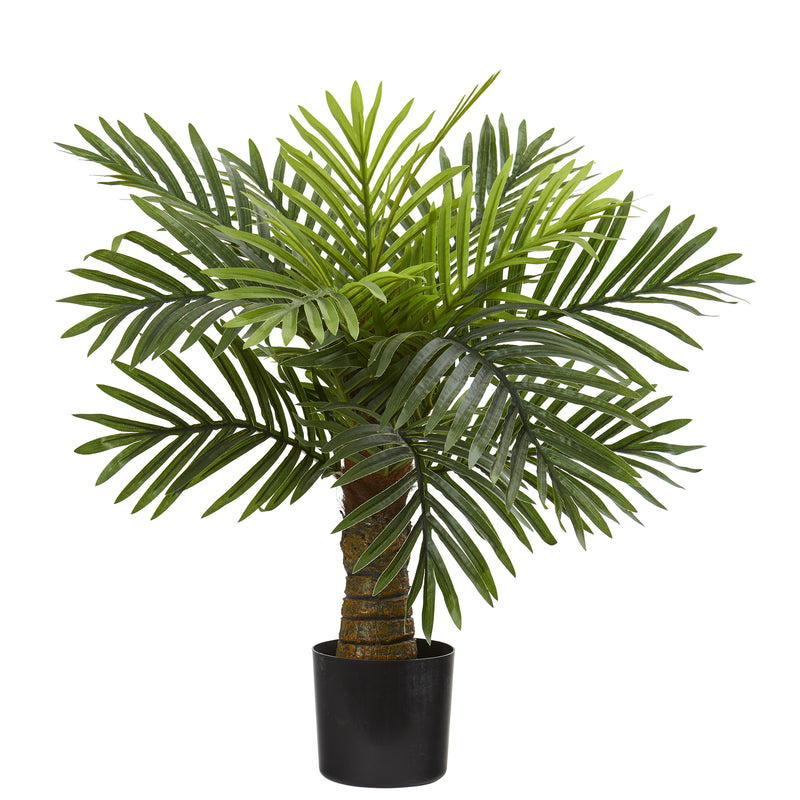 26" Robellini Palm Artificial Tree
