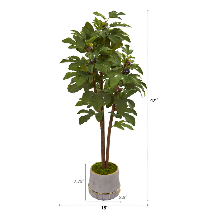 47" Fig Artificial Tree in Stoneware Vase with Gold Trim